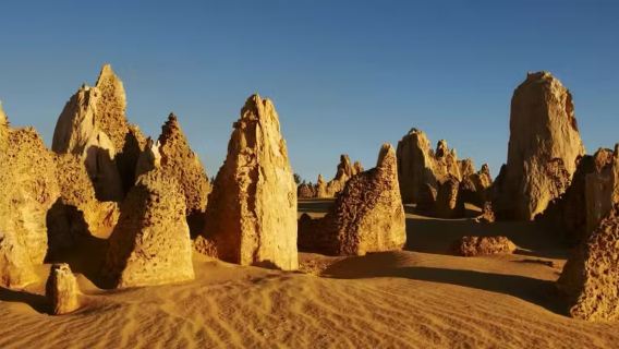 珀斯尖峯石陣一日遊【滑沙體驗+含龍蝦餐丨中文團】