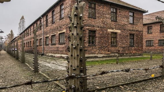 Auschwitz-Birkenau: Day Trip from Katowice