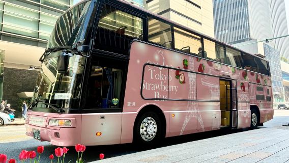รวม: กล่องของขวัญสตรอว์เบอร์รีพรีเมียม / ท่องเที่ยวโตเกียว - สนุกสนานกับรถบัสเปิดประทุน! (พร้อมระบบออดิโอไกด์อัตโนมัติด้วย GPS)
