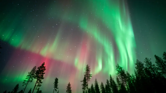 Finlandiya: Aurora Fotoğraf Turu (Rovaniemi'den) Yabancı Dil Grup Turu※