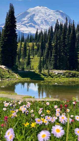 1-day join-in tour to Mount Rainier National Park from Seattle (English-speaking group)