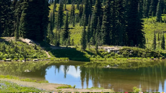 1-day join-in tour to Mount Rainier National Park from Seattle (English-speaking group)