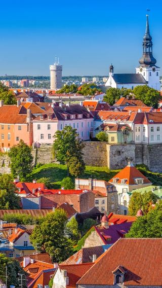 Custom trip to Tallinn in Estonia: Vanalinn + Kadriorg Art Museum + St.Olaf's Church ※