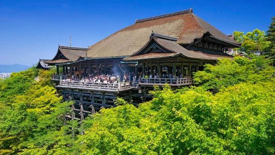 大阪來回-金閣寺-龍安寺 -伏見稻荷+清水寺包車，行程可調