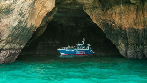 Lagos: Combo Dolphin and Benagil Tour with Marine Biologist
