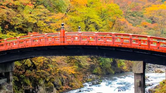 1-day tour to Nikko world heritage: Toshogu shrine & Lake Chūzenji & Kegon waterfalls & optional hot spring bath