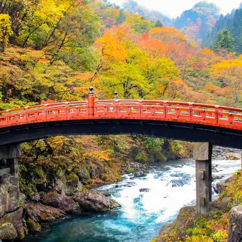 日光世界遺產一日遊：東照宮＆中禪寺湖＆華嚴瀑布＆可選溫泉泡湯