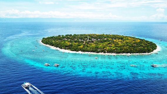 Bohol: Balicasag Island & Napaling Reef Snorkeling 1-Day Tour | With Gear & Lunch