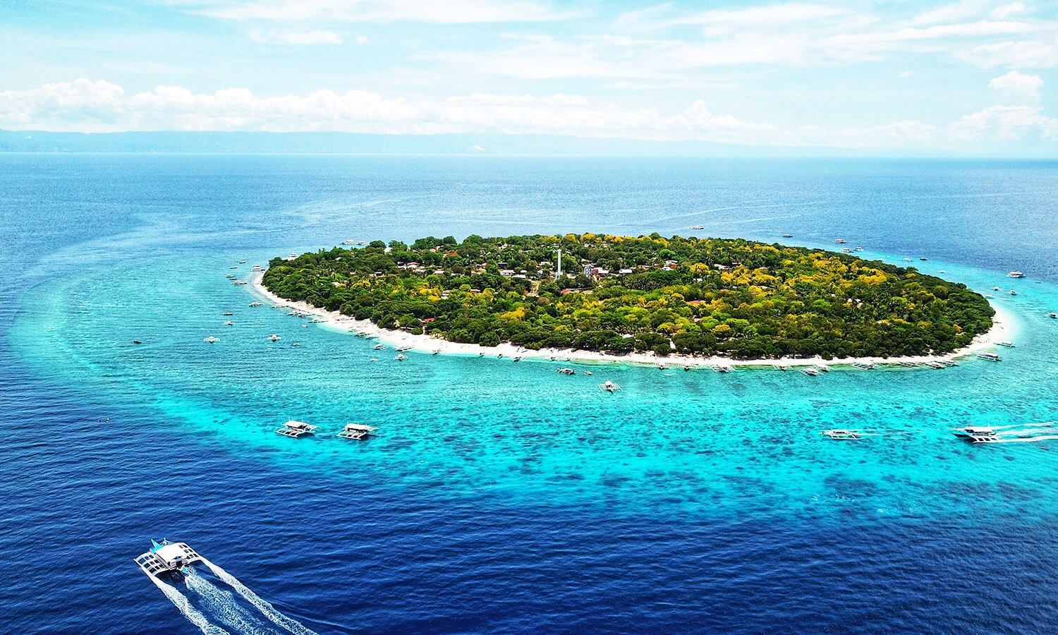 Bohol: Balicasag Island & Napaling Reef Snorkeling 1-Day Tour | With Gear & Lunch