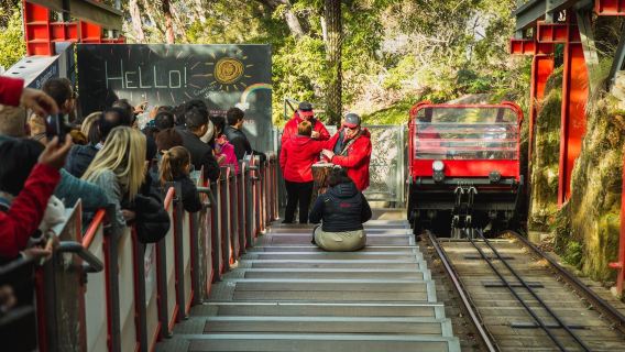 Tagesausflug zum Blue Mountains Nationalpark und Zoo in Sydney inklusive 3 Seilbahnfahrten / Three Sisters