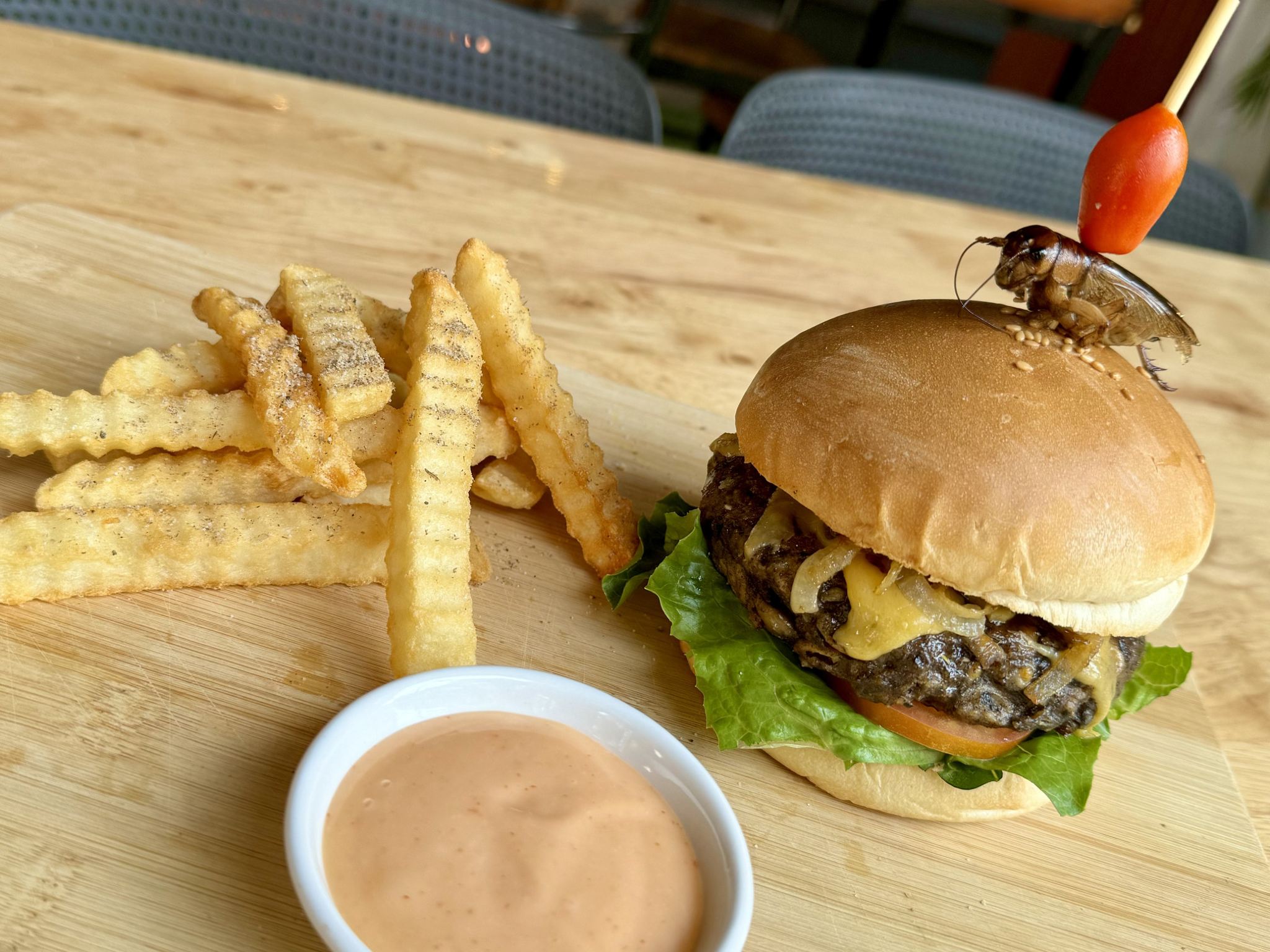 Cocina Creativa de Insectos