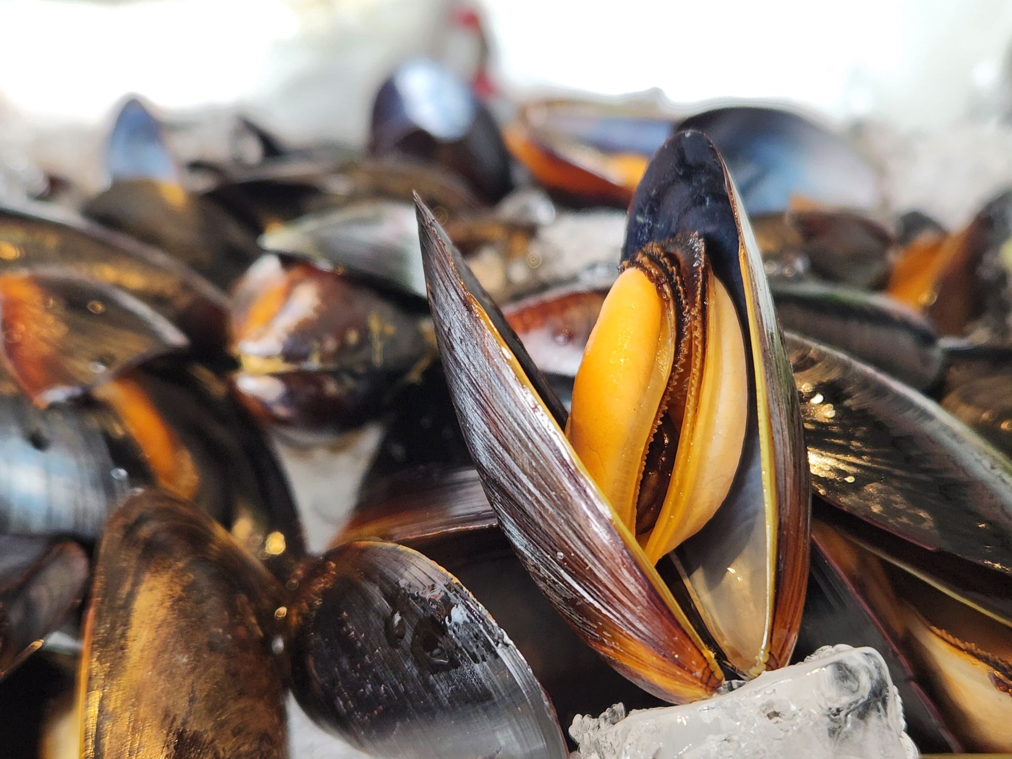 Макао [SKY 21] обед «шведский стол» [Купи три, получи один бесплатно] гастрономический ваучер (действительно только по понедельникам и четвергам) xc