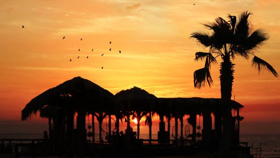 美國夏威夷大島科納咖啡農場+霍瑙瑙公園+凱阿拉凱庫觀景一日遊