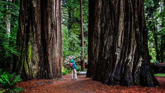 San FranciscoExperiences