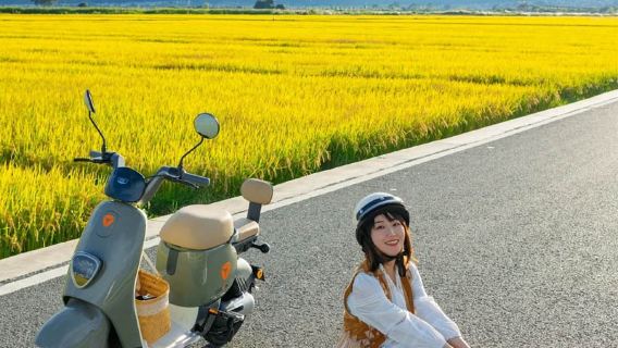 大理蒼山感通索道+喜洲+雙廊+洱海遊船一日遊【小團上門接送】