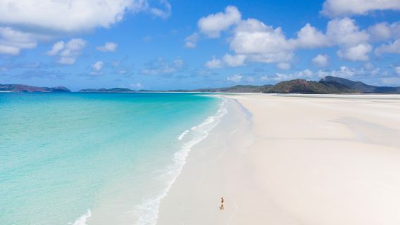 Whitsundays Hill Inlet half-day tour (departing from Hamilton Island)
