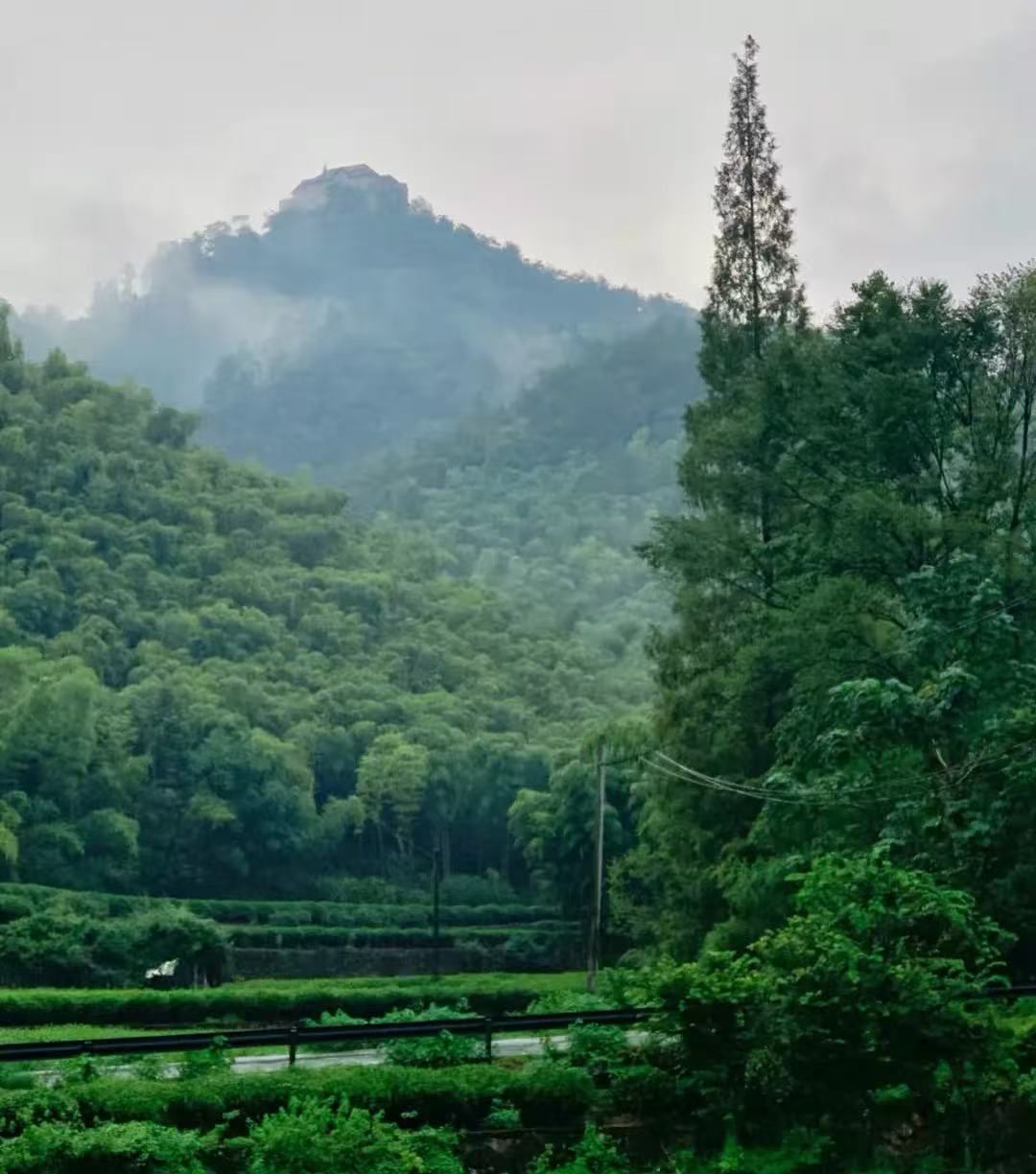 Huzhou Moganshan Private Charter Day Tour/English/Multilingual Guide JY