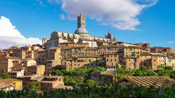 San Gimignano, Siena, Monteriggioni & Chianti: Tour + Lunch + Wine Tasting