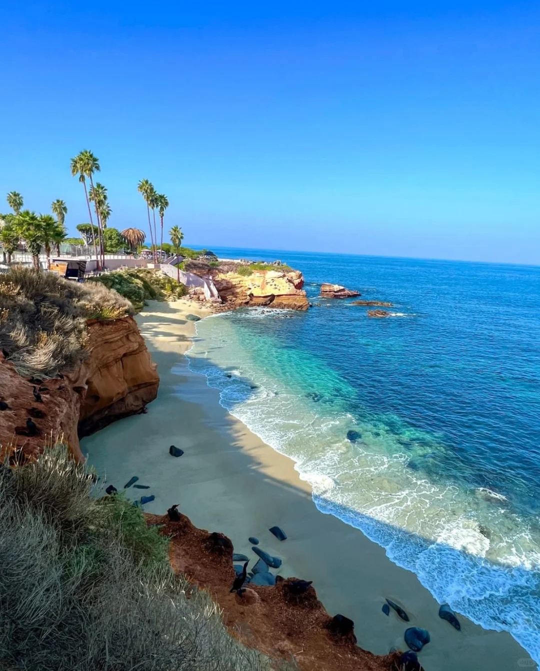 美國洛杉磯來回聖地牙哥景點一日遊*包車【精選老司機】
