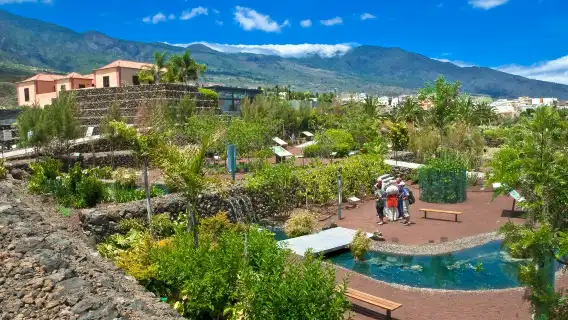 Pyramids of Güímar: Guided Tour
