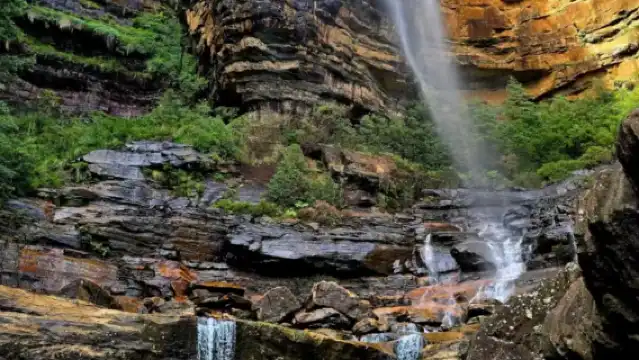 澳洲悉尼藍山包車一日遊【行程可調/可定制/中文】