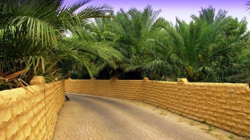 Al Ain full-day with lunch from Dubai Day Tours 9