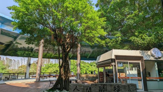 Jiangmen Gulao Water Village Tourist Area + Chimei Family Courtyard + Bird Paradise private charter one-day tour with English Service