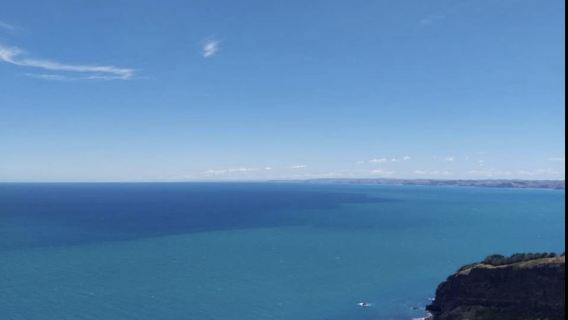 Ngaruni beach+Lalaland【奧克蘭週邊】