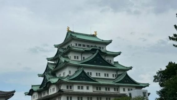 日本名古屋城-日本樂高樂園-名古屋港水族館-包車-周邊多日！