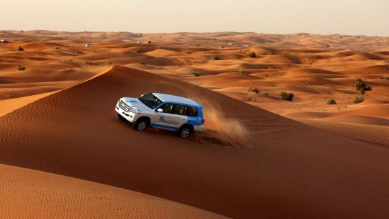 Morning Desert Safari with Dune Bashing+Sand Boarding+Camel Ride+Falcon+Coffee break+Dates