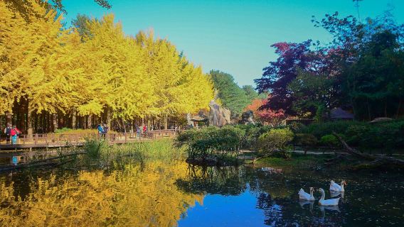 Gyeonggi Province | Nami Island X Gangcheon Rail Bike