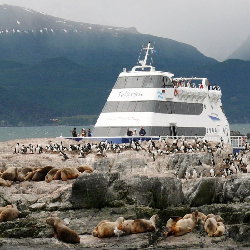 Katamaran-Ausflug ab dem Hafen von Ushuaia, Argentinien