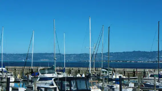 美國舊金山+漁人碼頭+金門大橋【行程可定制+中文服務】