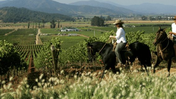 Ensenada: Horseback Riding at the Vineyards