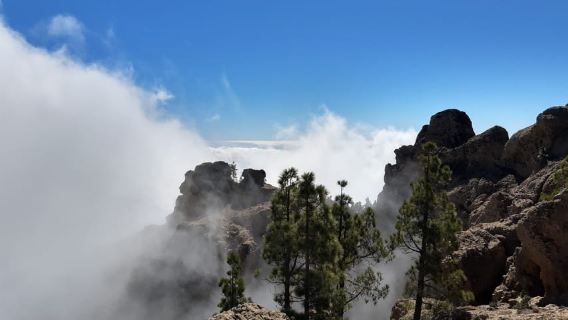 Gran Canaria: "Peaks of Gran Canaria" Hiking Tour