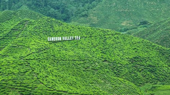 Cameroon Highland : Best nature in highland
