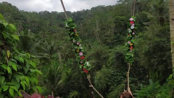 From lush Terraces to Sacred waters