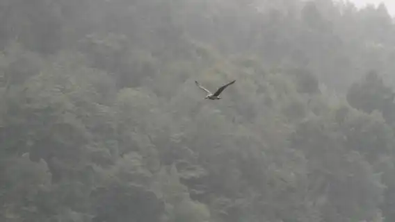 Porto: Douro Nature Boat Tour