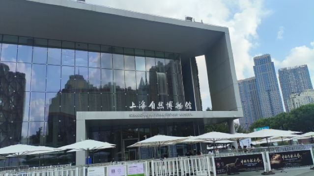 Halbtägige Tour durch das Naturkundemuseum Shanghai mit 2-stündigem ausführlichen Guide, kleine Gruppe, Headset inklusive