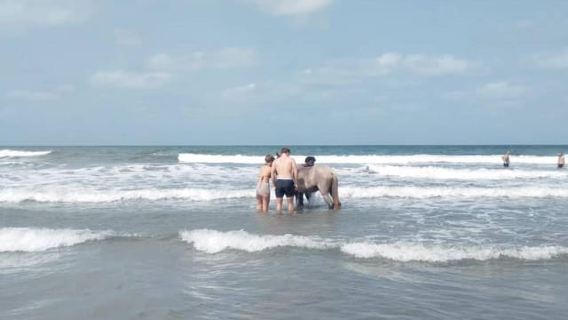Serrekunda: Passeggiate a cavallo sulla spiaggia