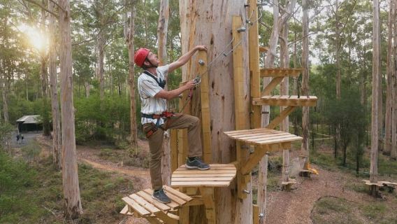 Pemberton: 2.5h Ultimate Ziplines & High Ropes Experience