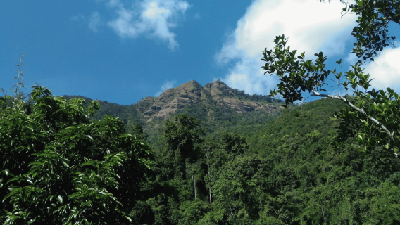 Mae Hong Son: Guided Doi Pui Luang Summit Hike