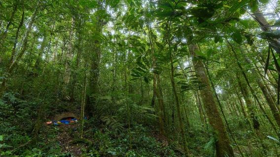 Historic, Natural Wonders: Zaina Falls & Mau Mau Cave Hike