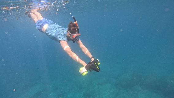 เทเนรีเฟ: ทัวร์พายเรือคายัคพร้อมสัตว์และสกู๊ตเตอร์ใต้น้ำ