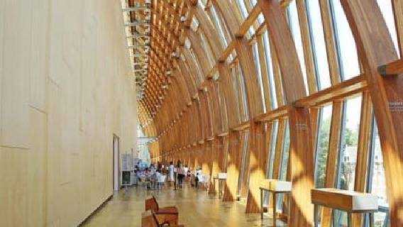 Capolavori della Galleria d'arte dell'Ontario: una visita guidata