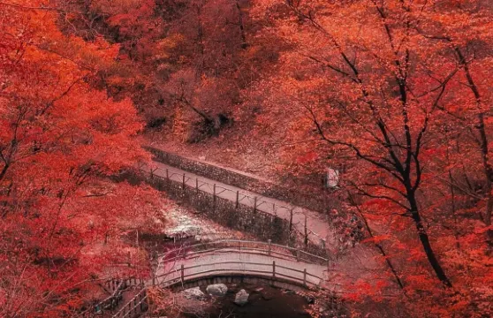 本溪關門山一日遊【高鐵遊|可選單程】