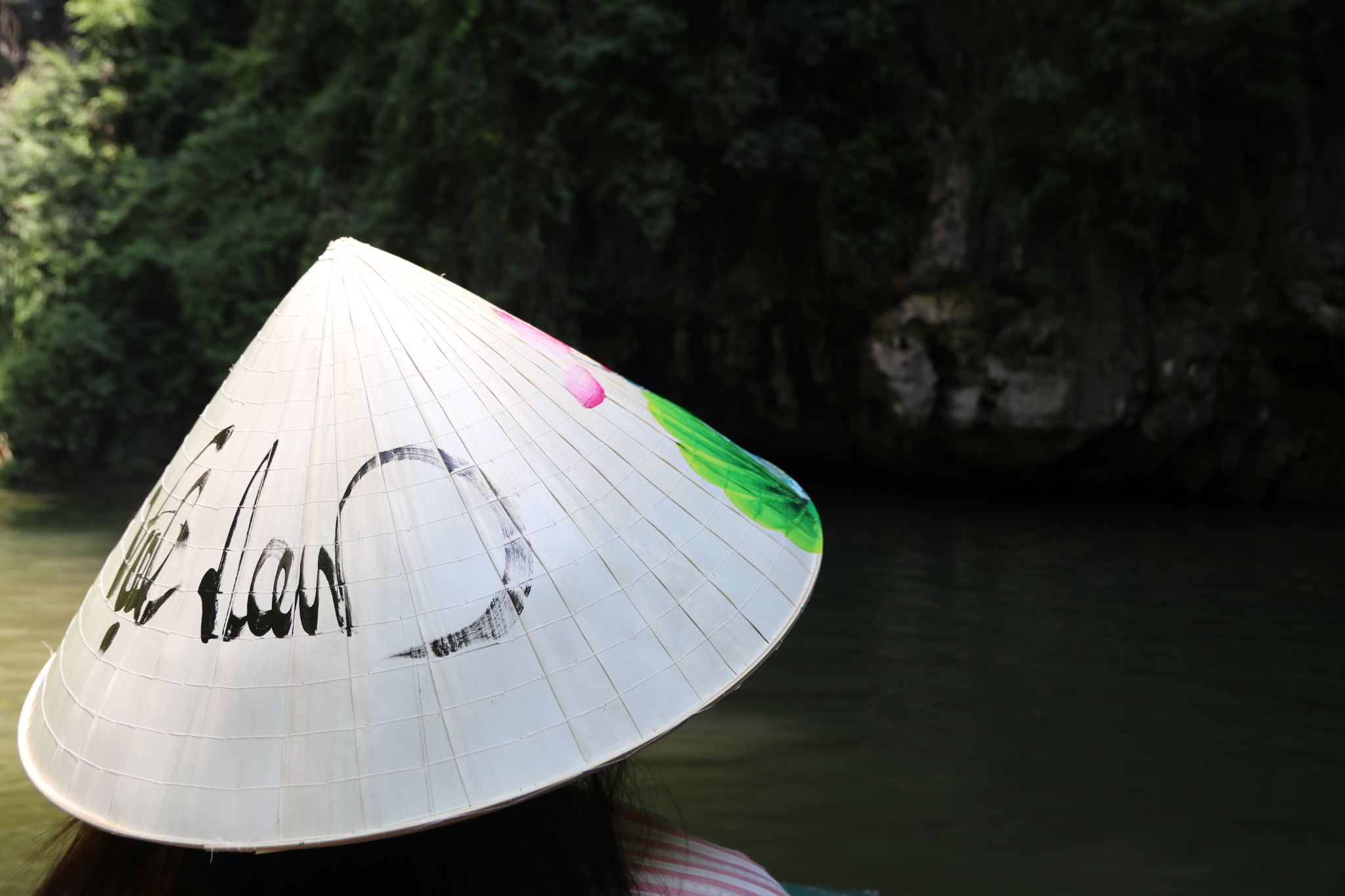 Hanoi: Tour di Ninh Bình, Hoa Lu, Trang An e Mua Cave