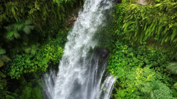 Lombok Wasserfall & Affenwald privater Tagesausflug