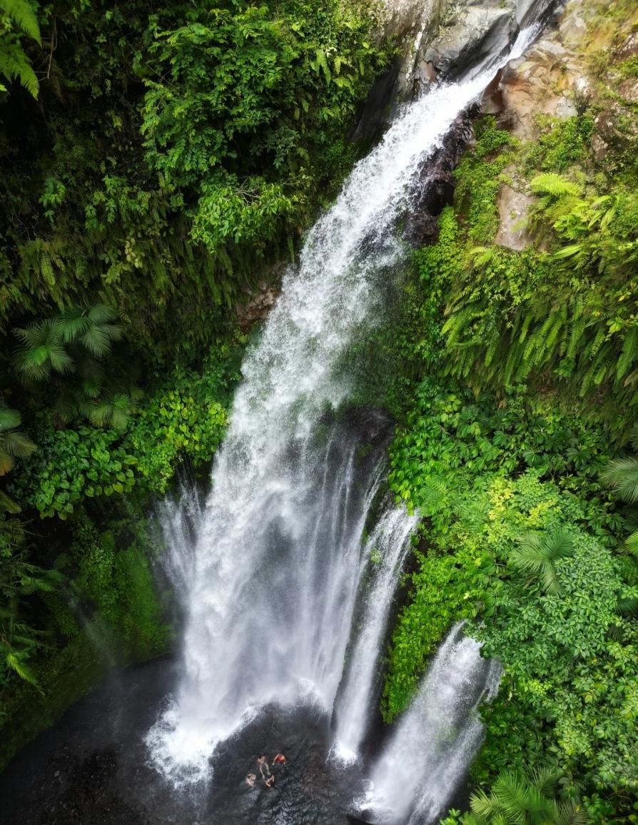 Lombok Island waterfall & monkey forest private 1-day tour