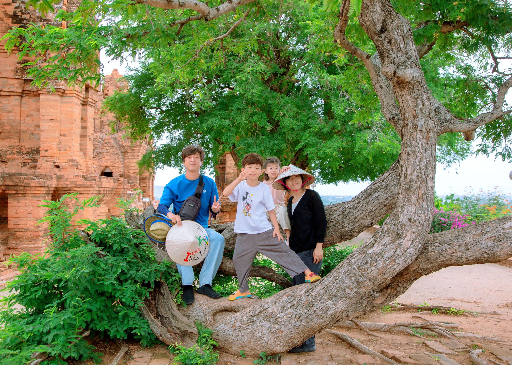 Phan Rang Sand Dune Private Tour: Trung Son Co Tu, Po Klong Garai, Tanyoli